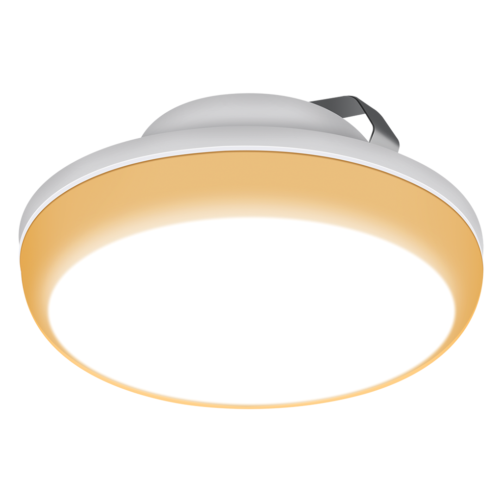 downlight